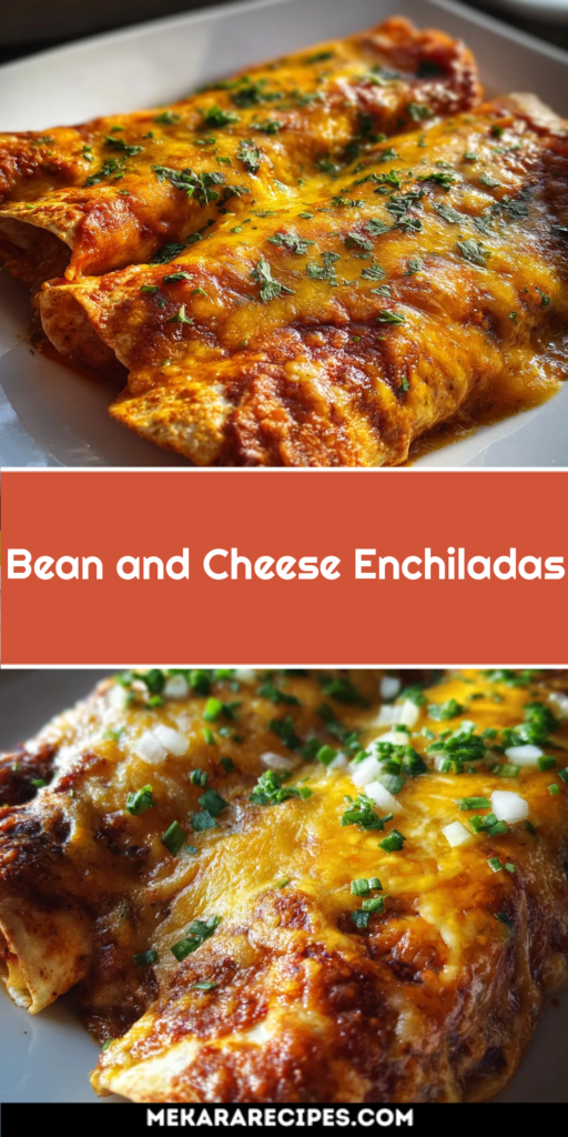 Bean and Cheese Enchiladas